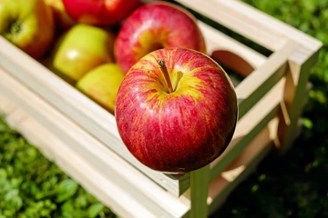 7 loại trái cây tốt cho sức khỏe giúp giảm cân