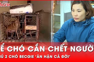 Tin nóng 24-11: Người chủ nói 'ân hận cả đời' khi hai con chó becgie tấn công cháu bé tử vong