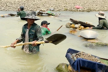 Video: Người dân miền núi Quảng Nam dầm mình dưới sông 'đãi' vàng