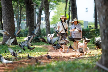 Những địa điểm 'chữa lành' ngày nắng nóng của người dân Sài Gòn