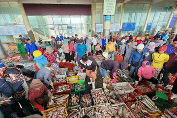 Hoạt động mua bán tấp nập ở cảng cá lớn nhất miền Trung
