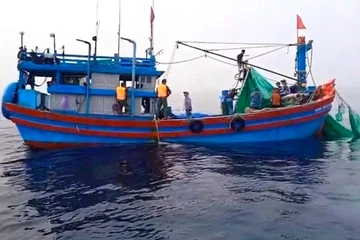 Phát hiện 6 tàu cá ngoại tỉnh khai thác trái phép ở ven bờ biển Đà Nẵng