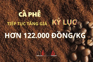 Giá cà phê tiếp tục tăng phi mã, lập kỷ lục mới 122.000 đồng/kg