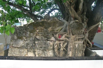 Nghi án nơi ngôi cổ mộ ở Cam Ranh 