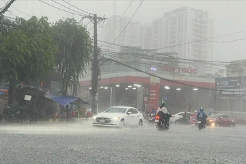 Mẫu ô tô nào có khả năng lội nước khi vào mùa mưa ở TP.HCM?