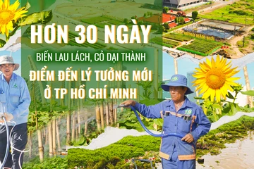Công viên bờ sông Sài Gòn: Hơn 30 ngày thần tốc biến lau lách, cỏ dại thành điểm đến lý tưởng