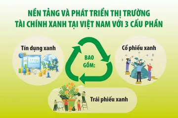 Hút vốn xanh để mở đường cho doanh nghiệp Việt phát triển bền vững