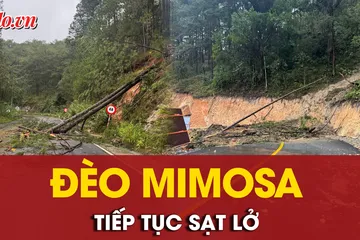 Lâm Đồng: Đèo Mimosa tiếp tục sạt lở, tạm ngưng lưu thông