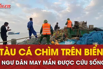 Tàu cá TP.HCM chìm trên biển Quảng Trị, 4 ngư dân may mắn được cứu sống