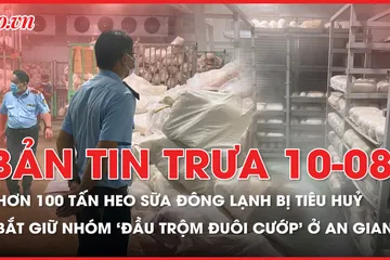 Bản tin trưa 10-8: Tiêu hủy hơn 100 tấn heo sữa đông lạnh không rõ nguồn gốc; Bắt giữ nhóm 'đầu trộm đuôi cướp' ở An Giang