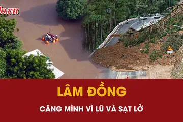 Toàn cảnh 5-12: Xả lũ và sạt lở liên tiếp, Lâm Đồng căng mình ứng phó thiệt hại lớn