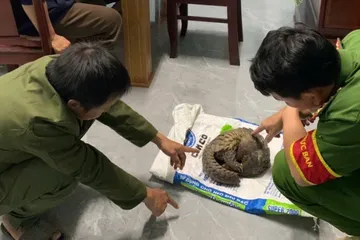 Lâm Đồng: Biểu dương hai người có hành động đẹp ở Cát Tiên 3 