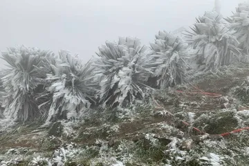 Cảnh báo không khí lạnh cường độ mạnh, miền Trung mưa lớn diện rộng
