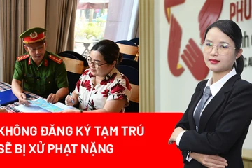 Tạm trú, mức phạt, Nghị định 282