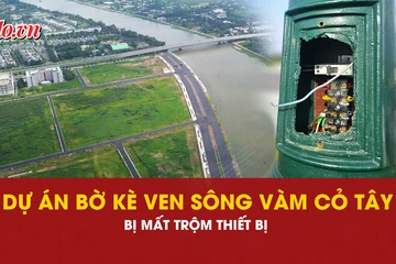 Vàm Cỏ Tây, Tây Ninh, dự án