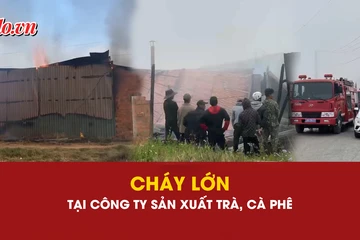 cháy, cháy lớn, cà phê, Lâm Đồng, 