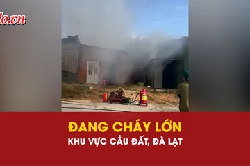 Đang cháy ở khu vực Cầu Đất, phường Xuân Trường, TP Đà Lạt
