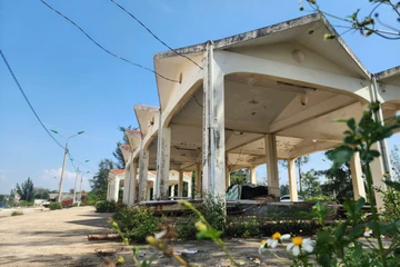 Cận cảnh cảng cá 43 tỉ đồng ở Thanh Hóa bị bỏ hoang 