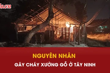 Cục sạc điện thoại dự phòng gây cháy cả xưởng gỗ