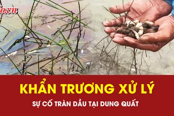 Khẩn trương xử lý sự cố tràn dầu tại Dung Quất