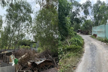 Gay cấn vụ tranh chấp đất kéo dài 13 năm 