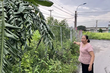 Dự án treo 18 năm, cử tri TP.HCM yêu cầu giám sát đến cùng