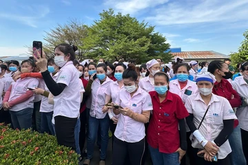 Hơn 2.700 công nhân Panko Vina mất việc được 7 công ty tuyển dụng ngay