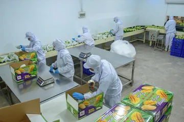 Đồng Tháp: Nông nghiệp xanh làm trụ đỡ, công nghiệp tăng tốc dẫn dắt tăng trưởng