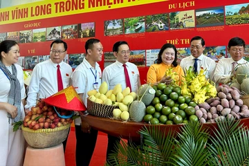 Vĩnh Long: Kiến tạo chuỗi logistics xanh để xuất khẩu vào thị trường Hoa Kỳ