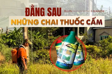ĐIỀU TRA bài 3: Thuốc cấm được 'chuyển phát nhanh' đến đồng ruộng