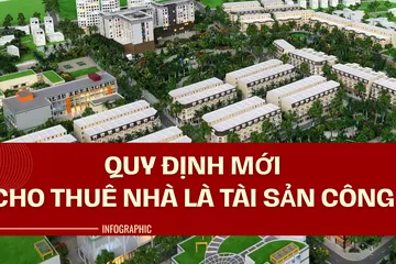 Infographic: Quy định mới về cho thuê nhà là tài sản công