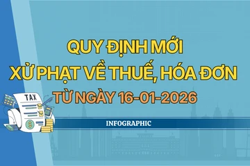 Mức phạt mới về thuế, hóa đơn: Người dân và doanh nghiệp cần lưu ý điều này