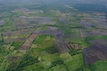 TP.HCM phê duyệt nhiệm vụ quy hoạch Khu đô thị Đại học Quốc tế 880 ha