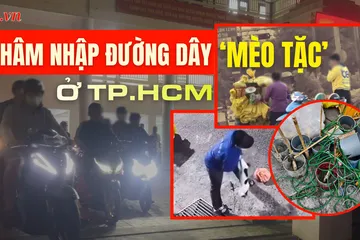 Trailer điều tra: Thâm nhập đường dây ‘mèo tặc’ ở trung tâm TP.HCM