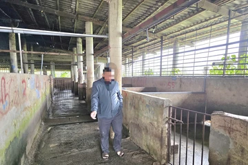 100% cơ sở giết mổ tập trung ở Quảng Trị chưa đạt chuẩn về môi trường