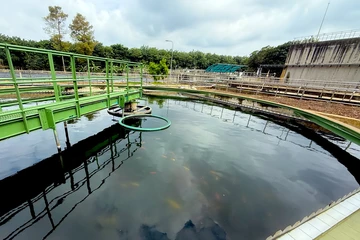 Chuyện lạ trong nhà máy cao su: Cá Koi sống khỏe nhờ... nước thải