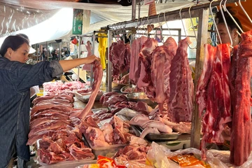 Giá heo hơi liên tục giảm mạnh 