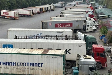 Chính thức: Tạm ngưng hiệu lực Nghị định 46 về an toàn thực phẩm