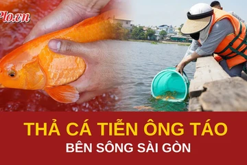 Video: Người dân tấp nập thả cá tiễn ông Táo bên sông Sài Gòn