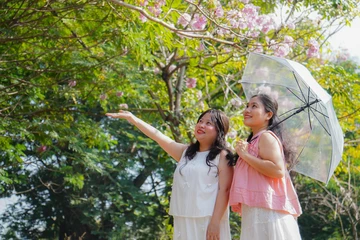 Hoa kèn hồng khoe sắc, nhuộm hồng các tuyến đường trung tâm TP.HCM 