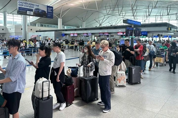 Tiết lộ bất ngờ về hành vi đặt vé máy bay của người trẻ