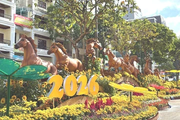 Chi tiết các điểm trông giữ xe phục vụ khách tham quan Đường hoa nghệ thuật ở Cần Thơ