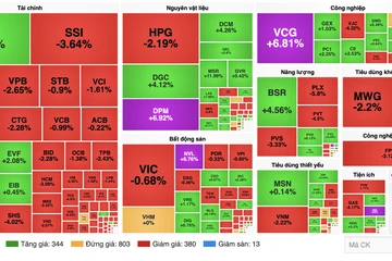 VN-Index trồi sụt, đâu là cơ hội đầu tư trên thị trường chứng khoán Việt năm 2026?