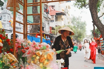 Hà Nội tái hiện chợ hoa Hàng Lược trăm năm tuổi tại phố cổ dịp xuân Bính Ngọ