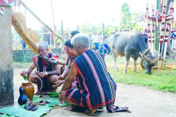 Phục dựng lễ Mừng chiến thắng, ăn trâu của đồng bào Jrai ở Ia Grai