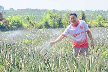 Nông dân Gia Lai vượt 'bão' giá dầu nhờ điện mặt trời