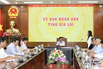Vụ nghi ngộ độc ở Gia Lai: Bán 200 bánh mì, 89 người nhập viện