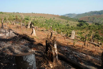 Tâm sự của người mê đắm Tây Nguyên