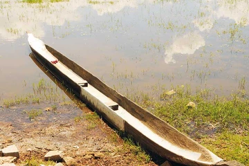 Thương mi lắm, thuyền độc mộc!