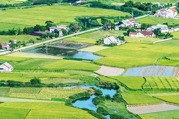 Con đường thiên lý của nước Việt